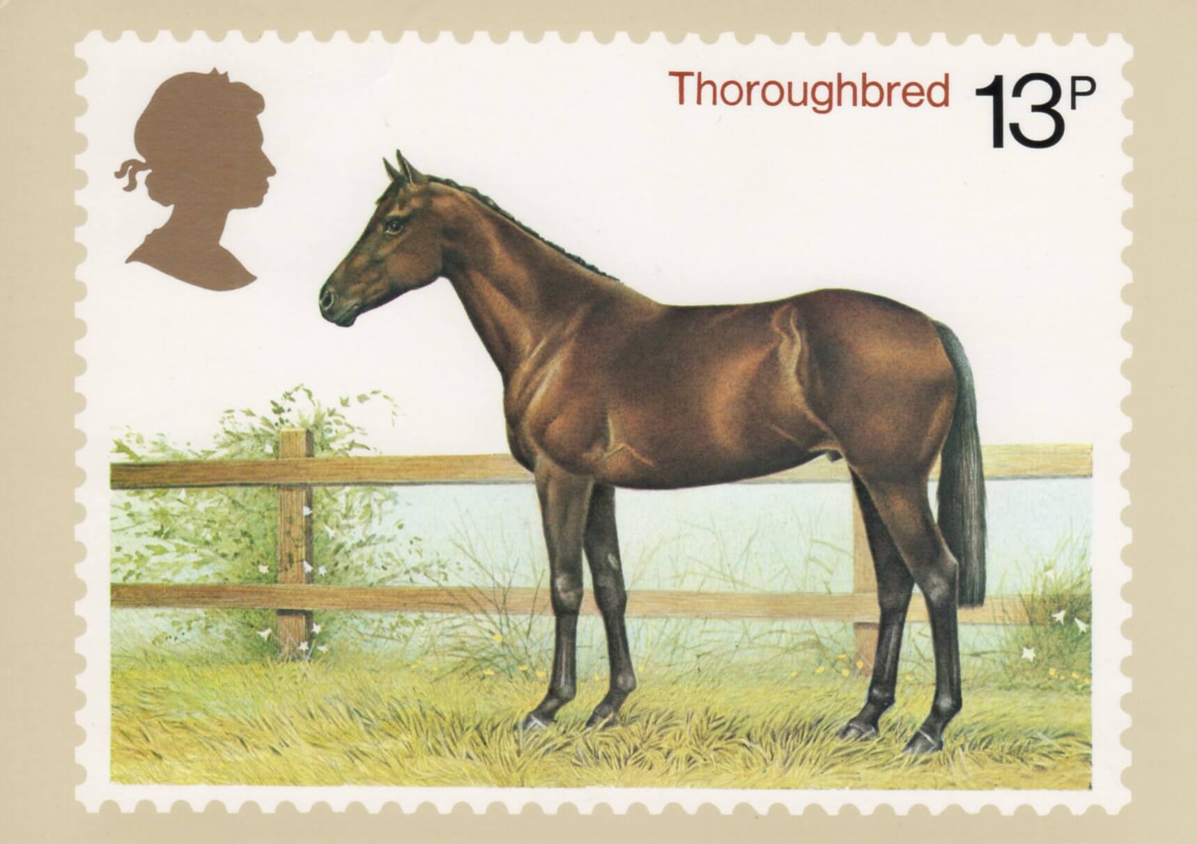 Лошадка марка. Лошади на почтовых марках. Почтовая марка конь. Марки с породами лошадей. Марки с изображением коня.