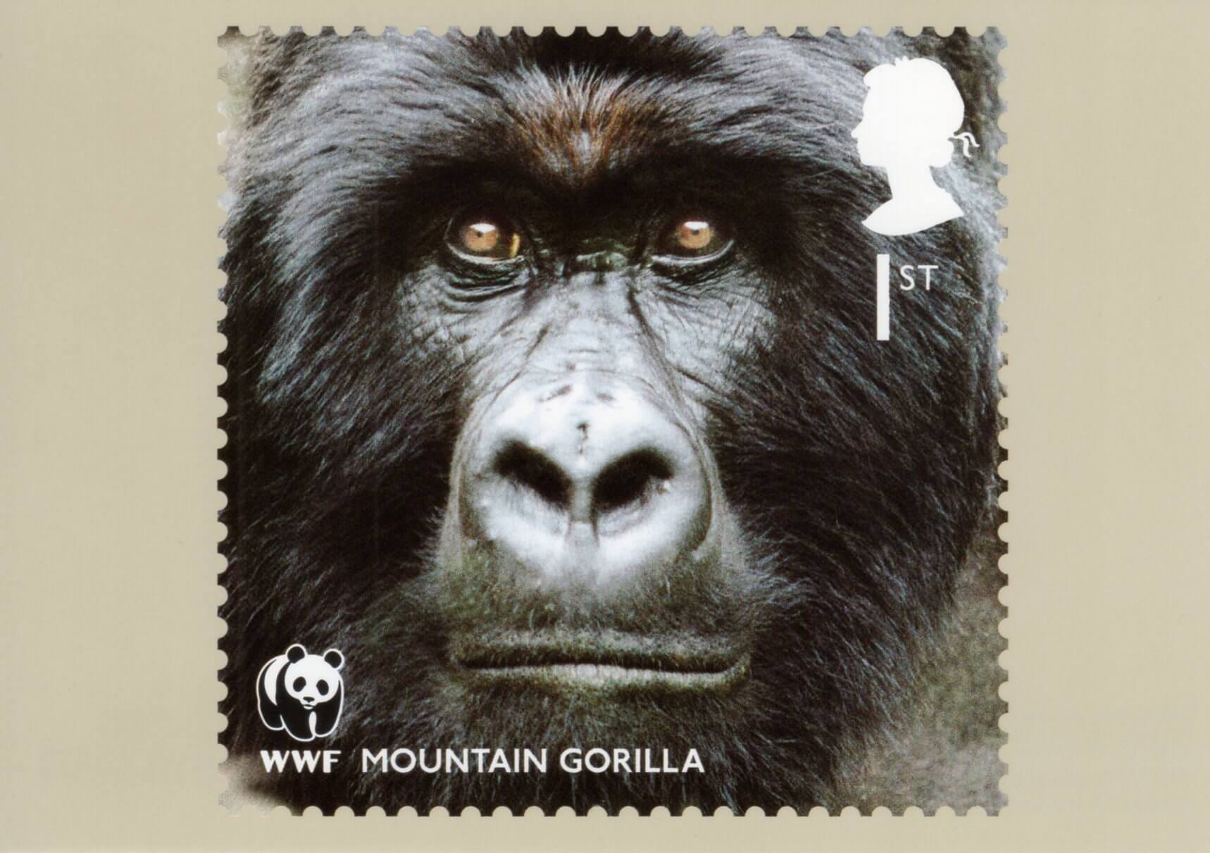 Collect Animal Postage Stamps