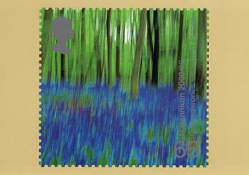 PHQ221 (d)