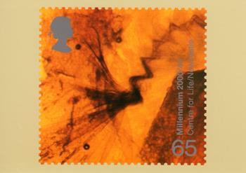 PHQ224 (d)