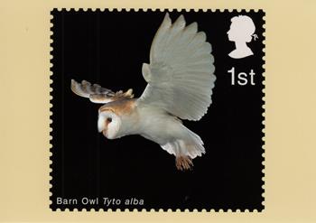 PHQ249 (b)