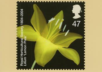 PHQ265 (e)