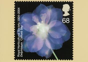 PHQ265 (f)