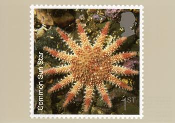 PHQ294 (j)
