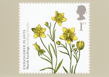 PHQ323 (e)