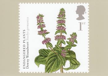 PHQ323 (f)
