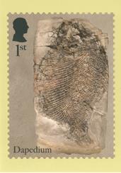 PHQ528 (k)