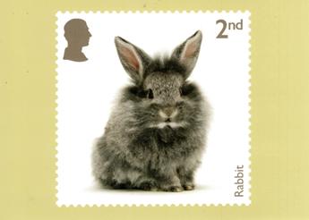 PHQ Cards from Collect GB Stamps